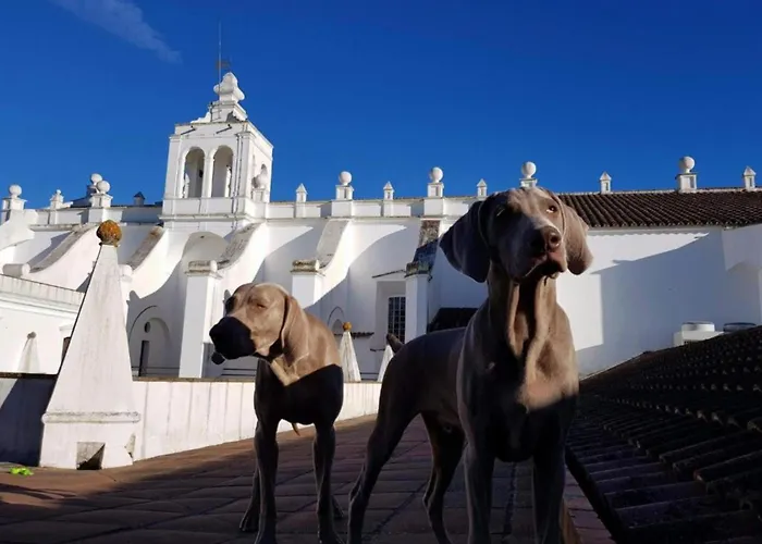 Convento Do Espinheiro, Historic Hotel & Spa